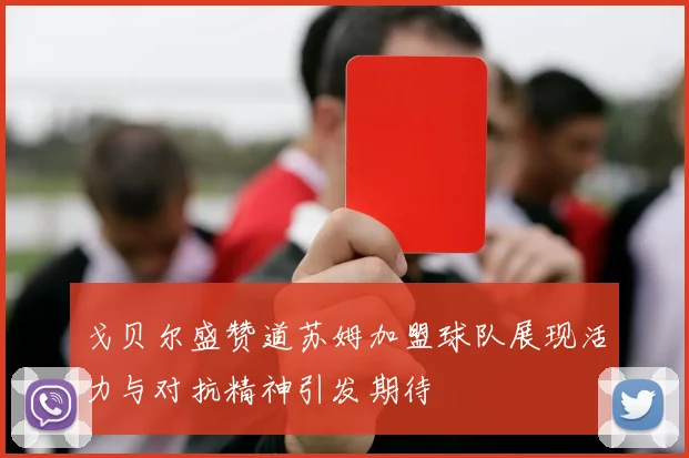 戈贝尔盛赞道苏姆加盟球队展现活力与对抗精神引发期待